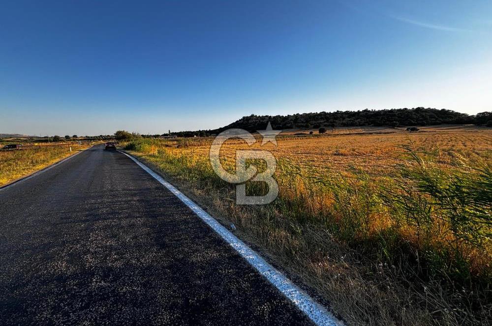 EZİNE TAVAKLI İSKELESİN'DE ASFALT YOLUNA CEPHELİ 5293 m2 TARLA