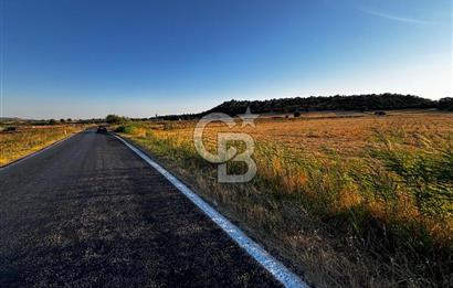 EZİNE TAVAKLI İSKELESİN'DE ASFALT YOLUNA CEPHELİ 5293 m2 TARLA