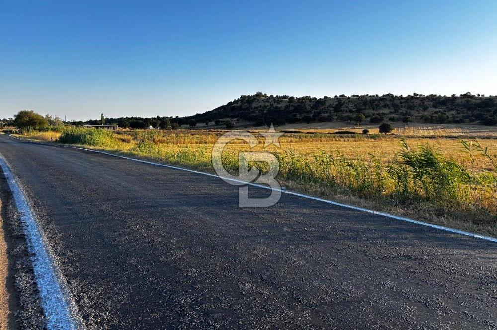 EZİNE TAVAKLI İSKELESİN'DE ASFALT YOLUNA CEPHELİ 5293 m2 TARLA