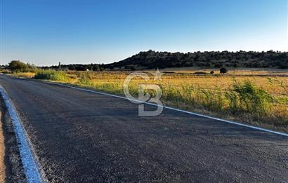 EZİNE TAVAKLI İSKELESİN'DE ASFALT YOLUNA CEPHELİ 5293 m2 TARLA