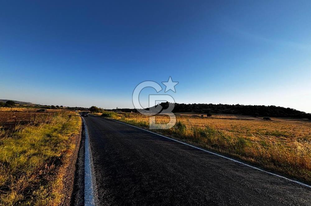 EZİNE TAVAKLI İSKELESİN'DE ASFALT YOLUNA CEPHELİ 5293 m2 TARLA