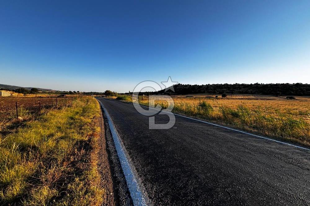 EZİNE TAVAKLI İSKELESİN'DE ASFALT YOLUNA CEPHELİ 5293 m2 TARLA