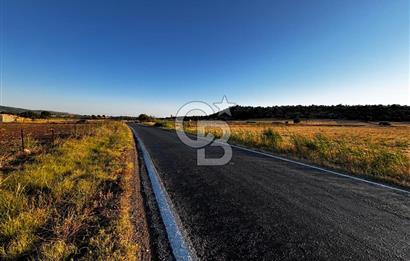 EZİNE TAVAKLI İSKELESİN'DE ASFALT YOLUNA CEPHELİ 5293 m2 TARLA