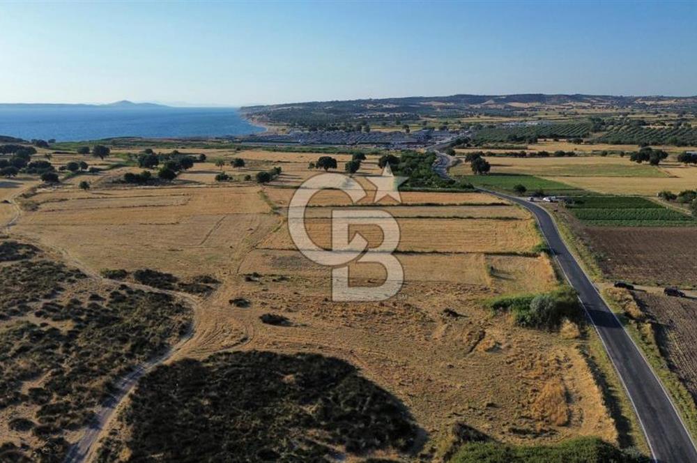 EZİNE TAVAKLI İSKELESİN'DE ASFALT YOLUNA CEPHELİ 5293 m2 TARLA