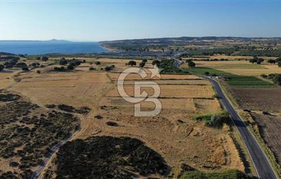 EZİNE TAVAKLI İSKELESİN'DE ASFALT YOLUNA CEPHELİ 5293 m2 TARLA