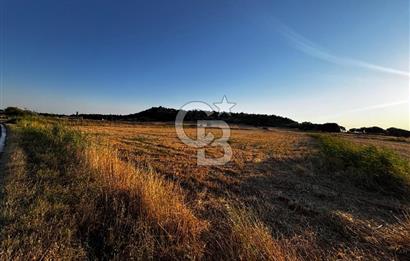 EZİNE TAVAKLI İSKELESİN'DE ASFALT YOLUNA CEPHELİ 5293 m2 TARLA