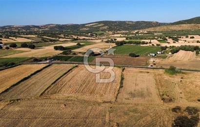 EZİNE TAVAKLI İSKELESİN'DE ASFALT YOLUNA CEPHELİ 5293 m2 TARLA