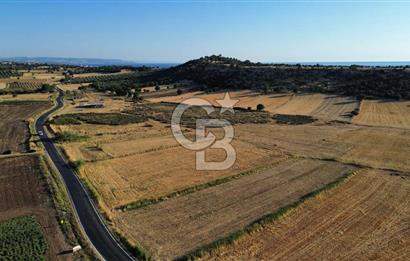 EZİNE TAVAKLI İSKELESİN'DE ASFALT YOLUNA CEPHELİ 5293 m2 TARLA