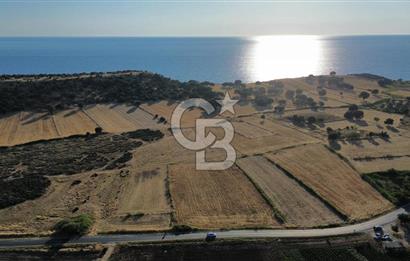 EZİNE TAVAKLI İSKELESİN'DE ASFALT YOLUNA CEPHELİ 5293 m2 TARLA