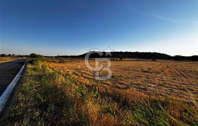 EZİNE TAVAKLI İSKELESİN'DE ASFALT YOLUNA CEPHELİ 5293 m2 TARLA