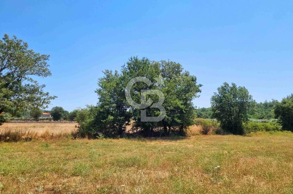 Menteşe Doğanköy'de İmar Sınırına Yakın 10.629 m² Tarla
