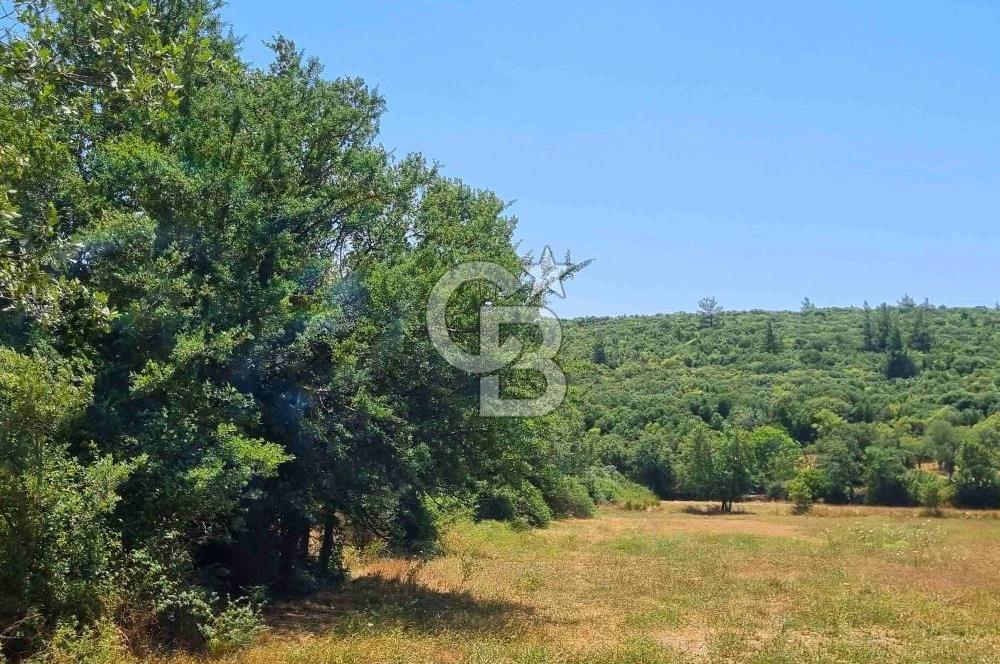 Menteşe Doğanköy'de İmar Sınırına Yakın 10.629 m² Tarla