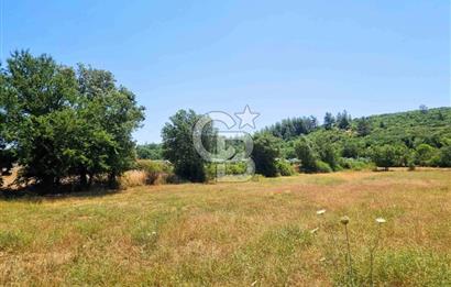 Menteşe Doğanköy'de İmar Sınırına Yakın 10.629 m² Tarla