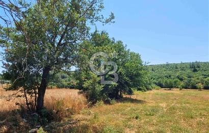 Menteşe Doğanköy'de İmar Sınırına Yakın 10.629 m² Tarla