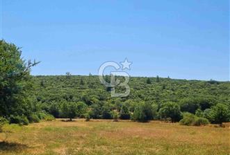 Menteşe Doğanköy'de İmar Sınırına Yakın 10.629 m² Tarla - 1 - 360933
