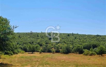 Menteşe Doğanköy'de İmar Sınırına Yakın 10.629 m² Tarla