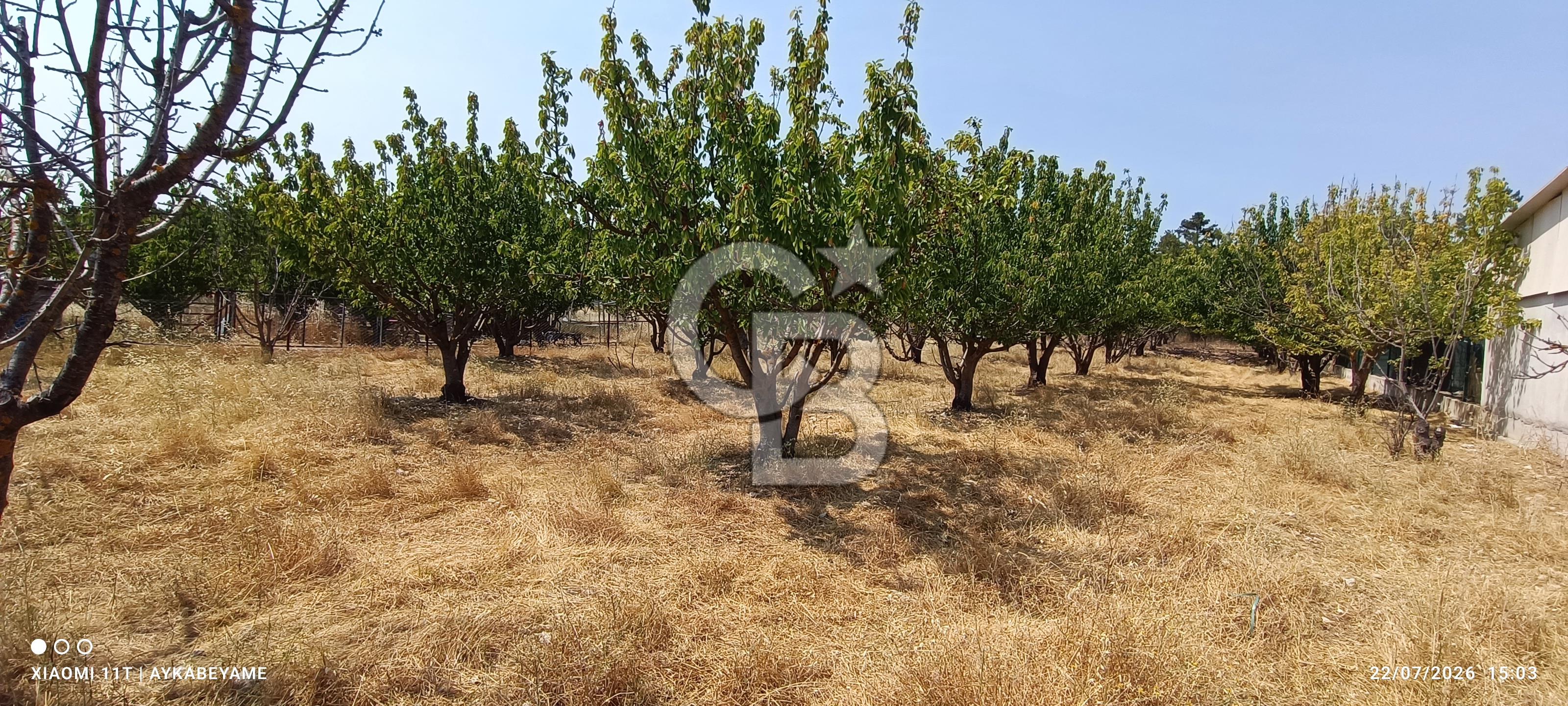 bornova yakaköyde 2700m2 yatırımlık tarla 