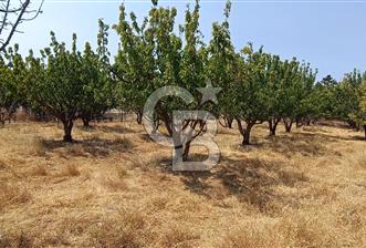 bornova yakaköyde 2700m2 yatırımlık tarla  - 4 - 360918