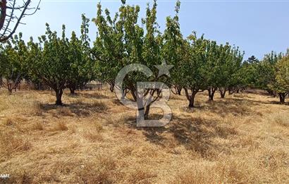 bornova yakaköyde 2700m2 yatırımlık tarla 