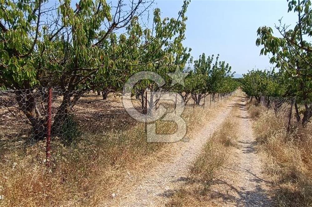 bornova yakaköyde 2700m2 yatırımlık tarla 