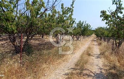 bornova yakaköyde 2700m2 yatırımlık tarla 