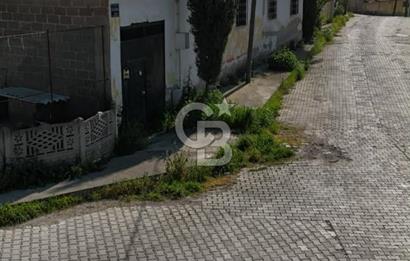 Sarnıç'ta Müstakil Tapulu 1370m² Arsa - Doğayla İç İçe!