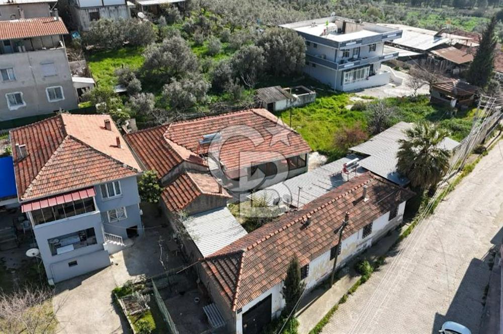 Sarnıç'ta Müstakil Tapulu 1370m² Arsa - Doğayla İç İçe!