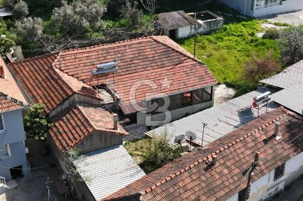 Sarnıç'ta Müstakil Tapulu 1370m² Arsa - Doğayla İç İçe!