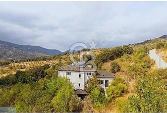SAKARYA GEYVE EPÇELER'DE 4000 M2 MEYVE BAHÇESİ İÇERİSİNDE 3 KATLI BİNA - 2 - 360930