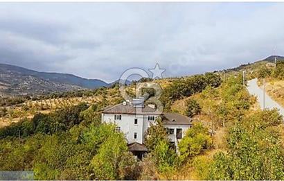 SAKARYA GEYVE EPÇELER'DE 4000 M2 MEYVE BAHÇESİ İÇERİSİNDE 3 KATLI BİNA