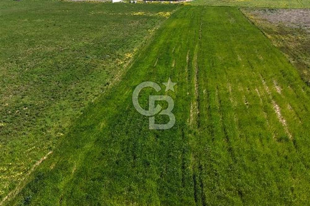 Menderes Gölcükler'de Yola Cepheli, 2771m² Hisseli Tarla