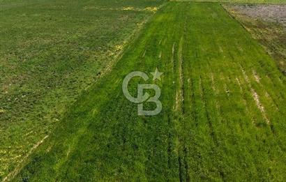 Menderes Gölcükler'de Yola Cepheli, 2771m² Hisseli Tarla