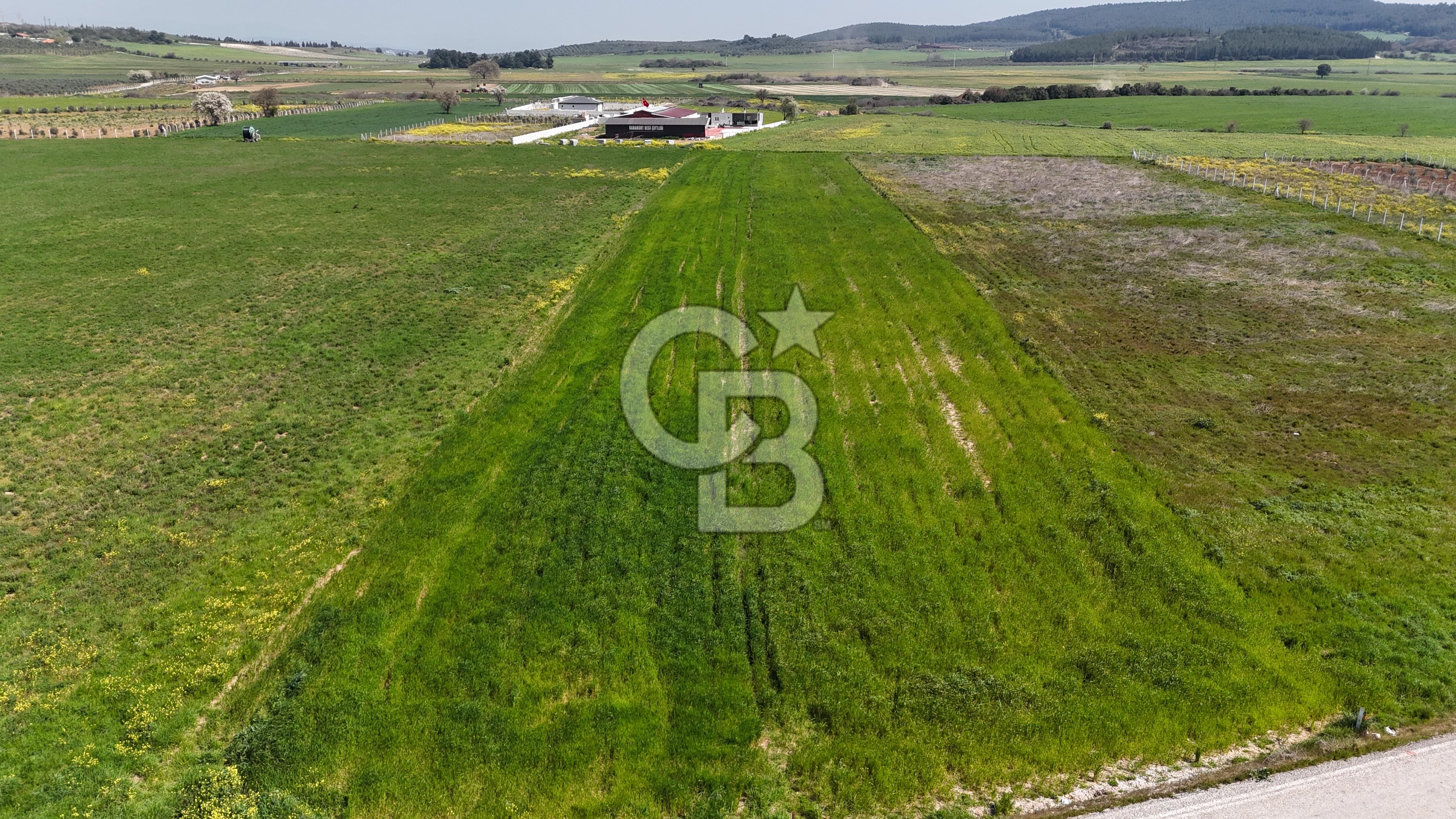Menderes Gölcükler'de Yola Cepheli, 2771m² Hisseli Tarla