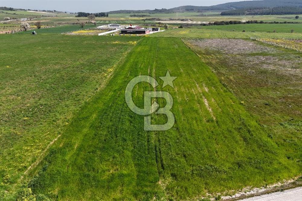 Menderes Gölcükler'de Yola Cepheli, 2771m² Hisseli Tarla