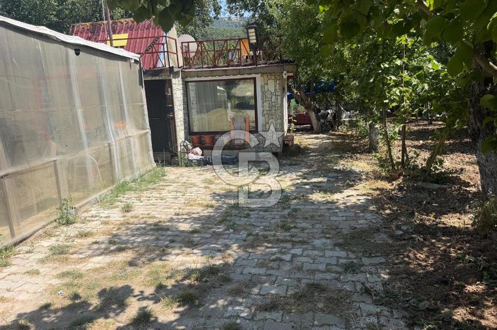 Denizli Cankurtaran da Satılık Prefabrik Ev ve Tarla