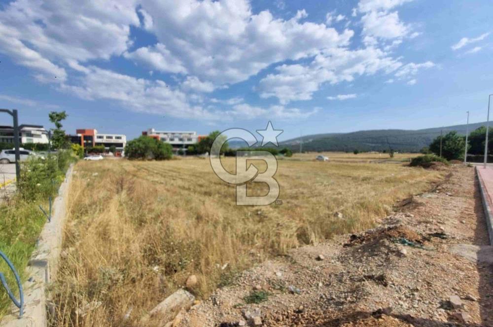 Muğla Merkezde Ticari İmarlı Hisseli Arsa
