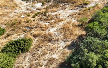 ÇEŞME'DE MERKEZİ KONUMDA DENİZ MANZARALI 1000 M2 İMARLI ARSA