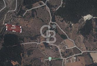 İzmir Güzelbahçe Yelki Satılık 16 Milyon TL Tarla - 6 - 360993