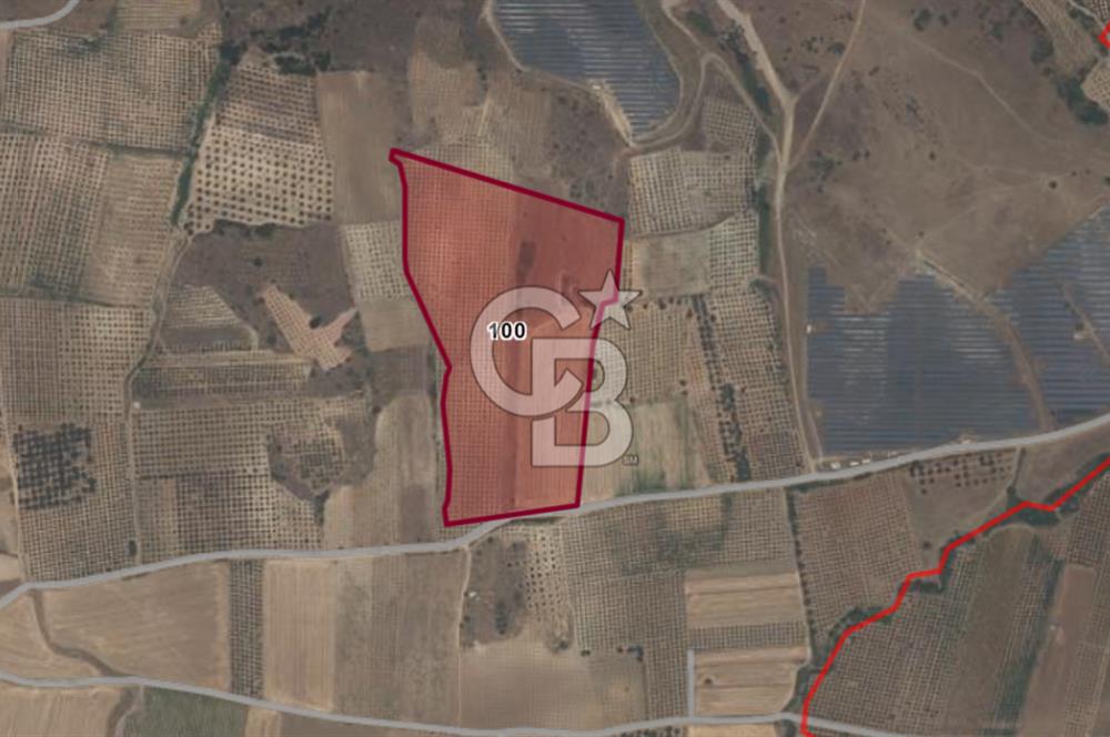 TERMAL BÖLGEDE SATILIK 31.850 M2 FIRSAT ARAZİ