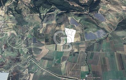 TERMAL BÖLGEDE SATILIK 31.850 M2 FIRSAT ARAZİ