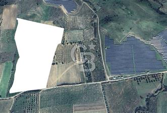 TERMAL BÖLGEDE SATILIK 31.850 M2 FIRSAT ARAZİ - 6 - 361028