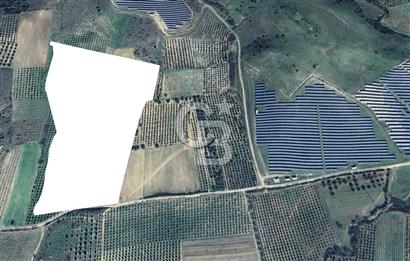 TERMAL BÖLGEDE SATILIK 31.850 M2 FIRSAT ARAZİ