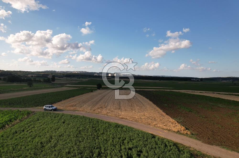 Alandüzünde Yol Kenarı 3.800 m² Satılık Yatırımlık Tarla