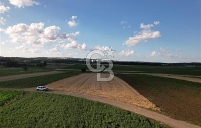 Alandüzünde Yol Kenarı 3.800 m² Satılık Yatırımlık Tarla