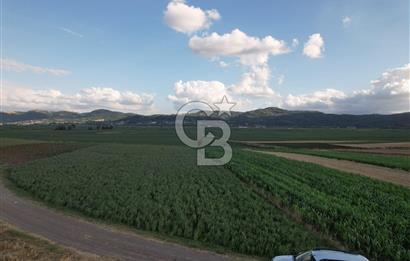 Alandüzünde Yol Kenarı 3.800 m² Satılık Yatırımlık Tarla