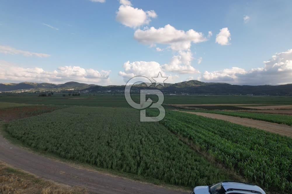 Alandüzünde Yol Kenarı 3.800 m² Satılık Yatırımlık Tarla