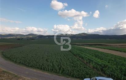 Alandüzünde Yol Kenarı 3.800 m² Satılık Yatırımlık Tarla