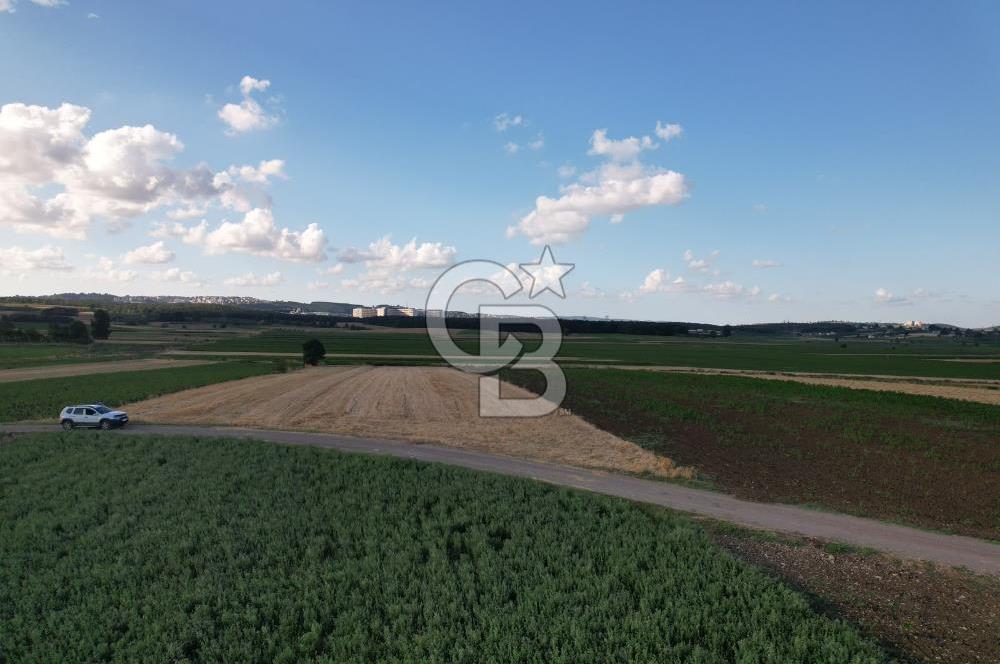 Alandüzünde Yol Kenarı 3.800 m² Satılık Yatırımlık Tarla