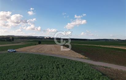 Alandüzünde Yol Kenarı 3.800 m² Satılık Yatırımlık Tarla
