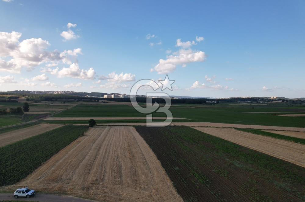 Alandüzünde Yol Kenarı 3.800 m² Satılık Yatırımlık Tarla